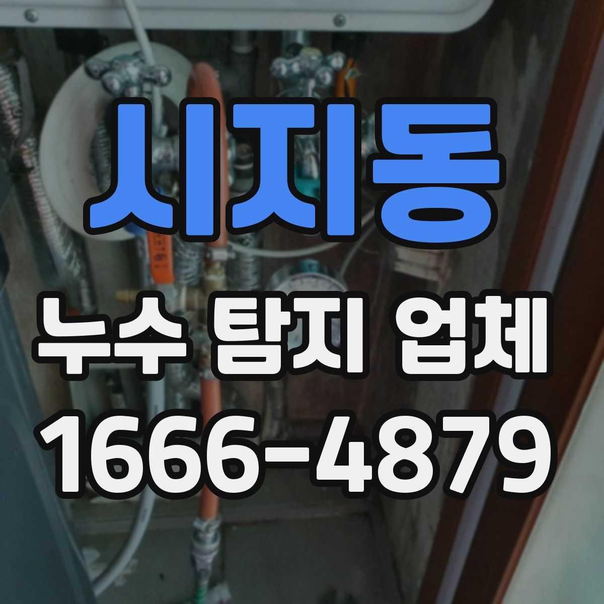 시지동 누수 탐지 업체