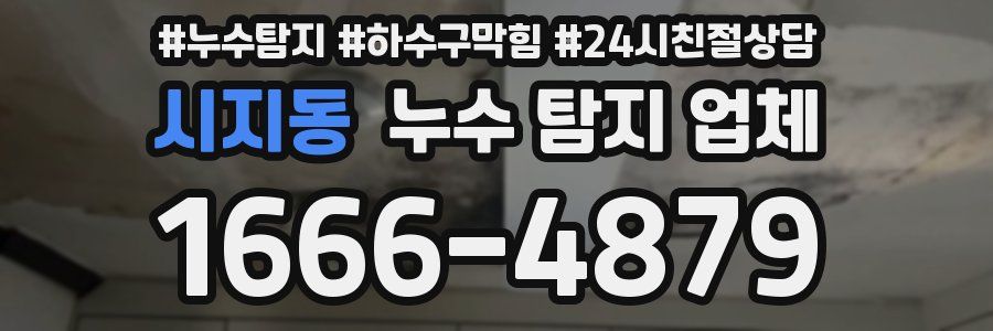 시지동 누수 탐지 업체