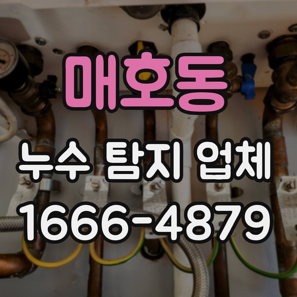 매호동 누수 탐지 업체