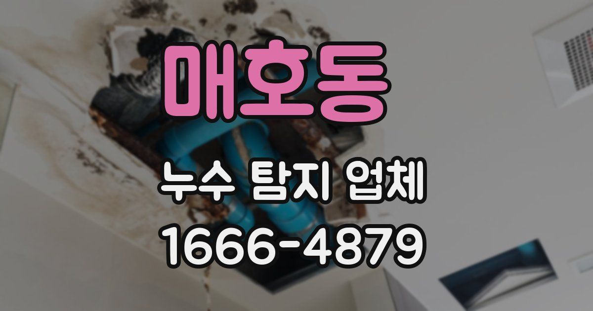 매호동 누수 탐지 업체