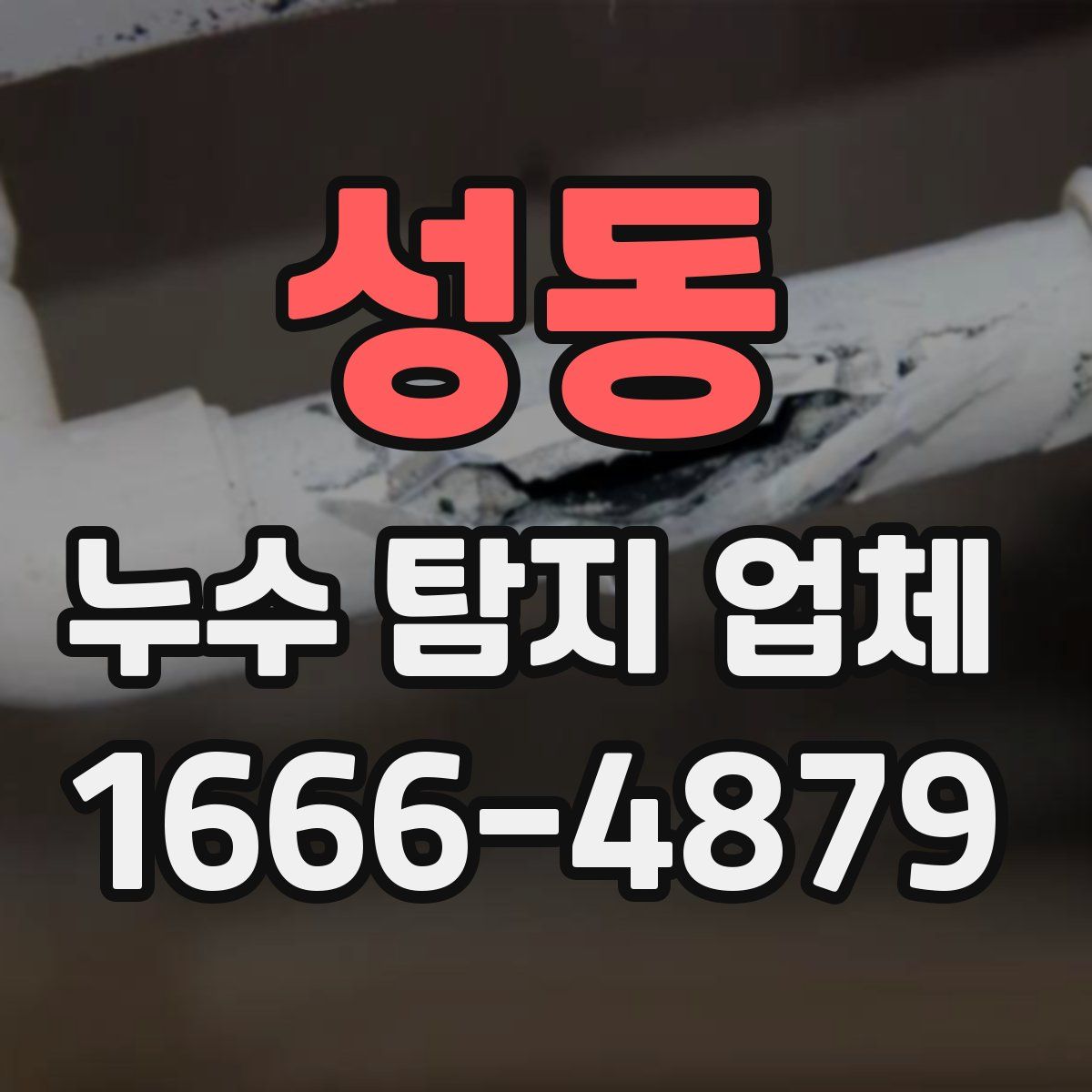 성동 누수 탐지 업체