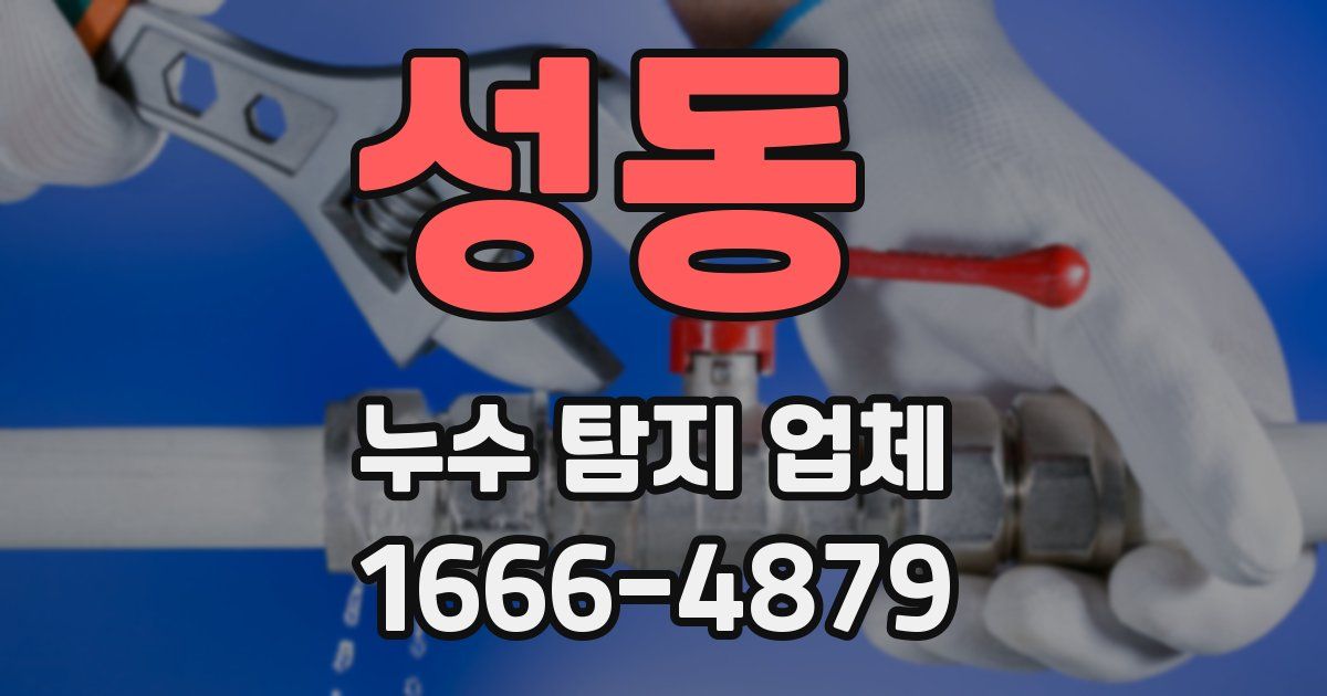 성동 누수 탐지 업체