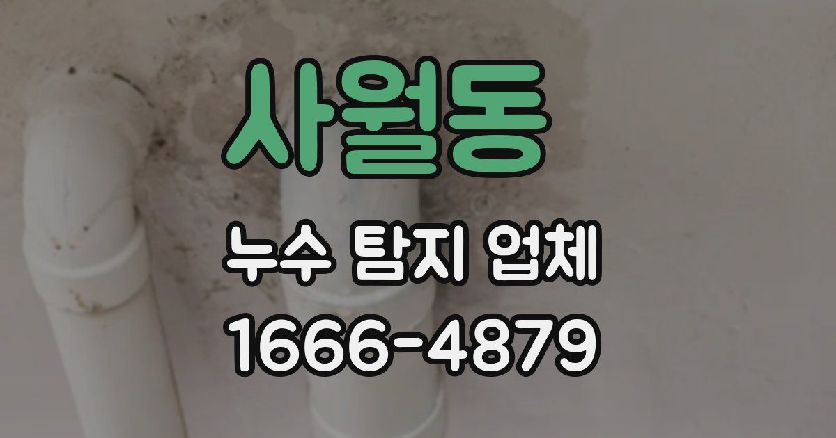사월동 누수 탐지 업체