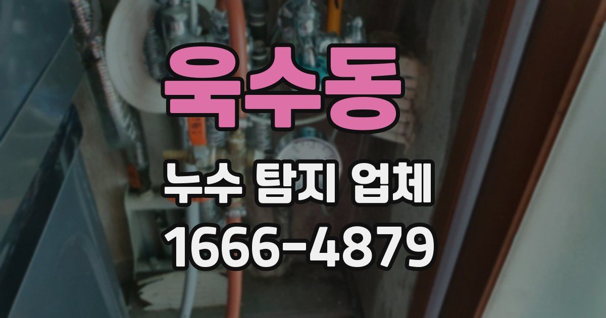 욱수동 누수 탐지 업체