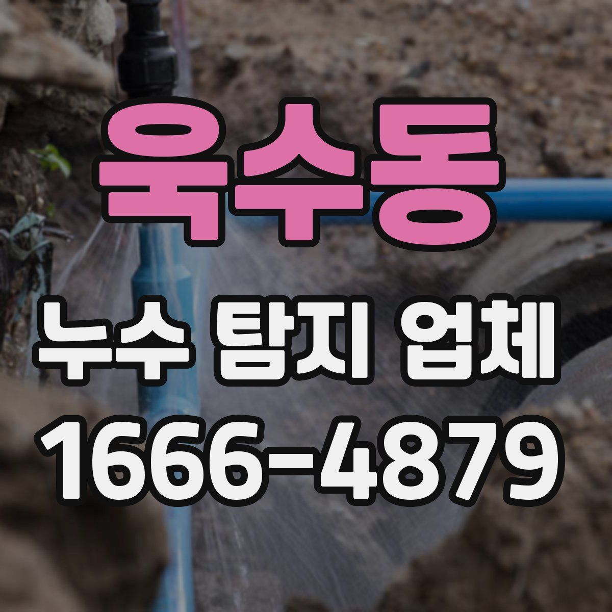 욱수동 누수 탐지 업체