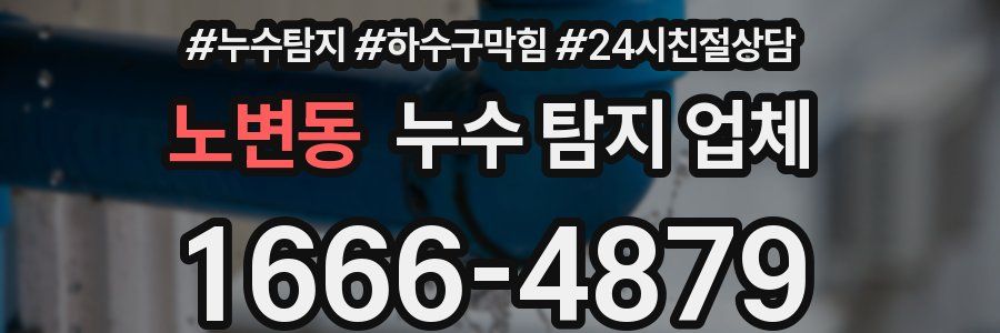 노변동 누수 탐지 업체