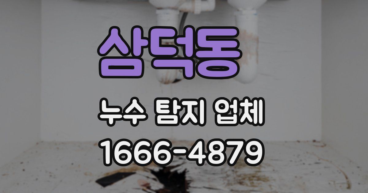 삼덕동 누수 탐지 업체