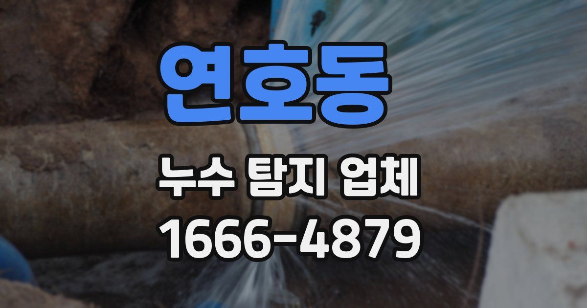 연호동 누수 탐지 업체