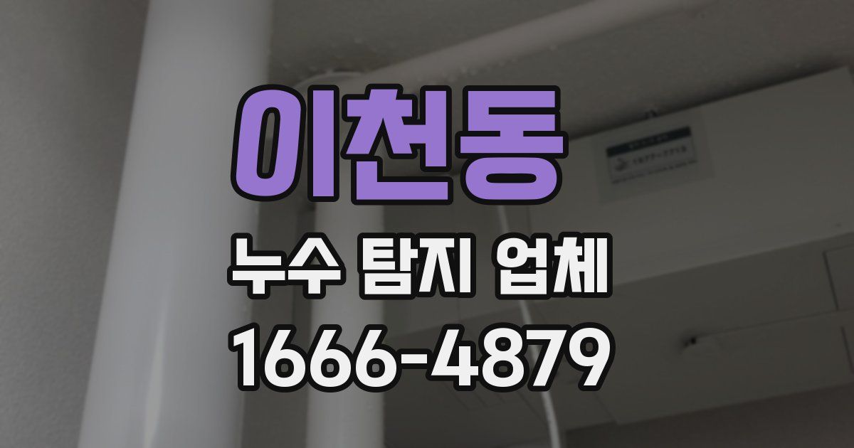 이천동 누수 탐지 업체