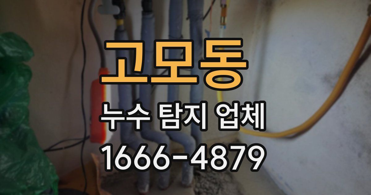고모동 누수 탐지 업체
