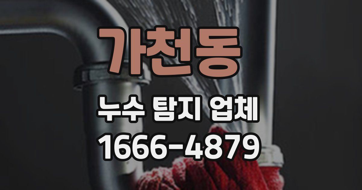 가천동 누수 탐지 업체