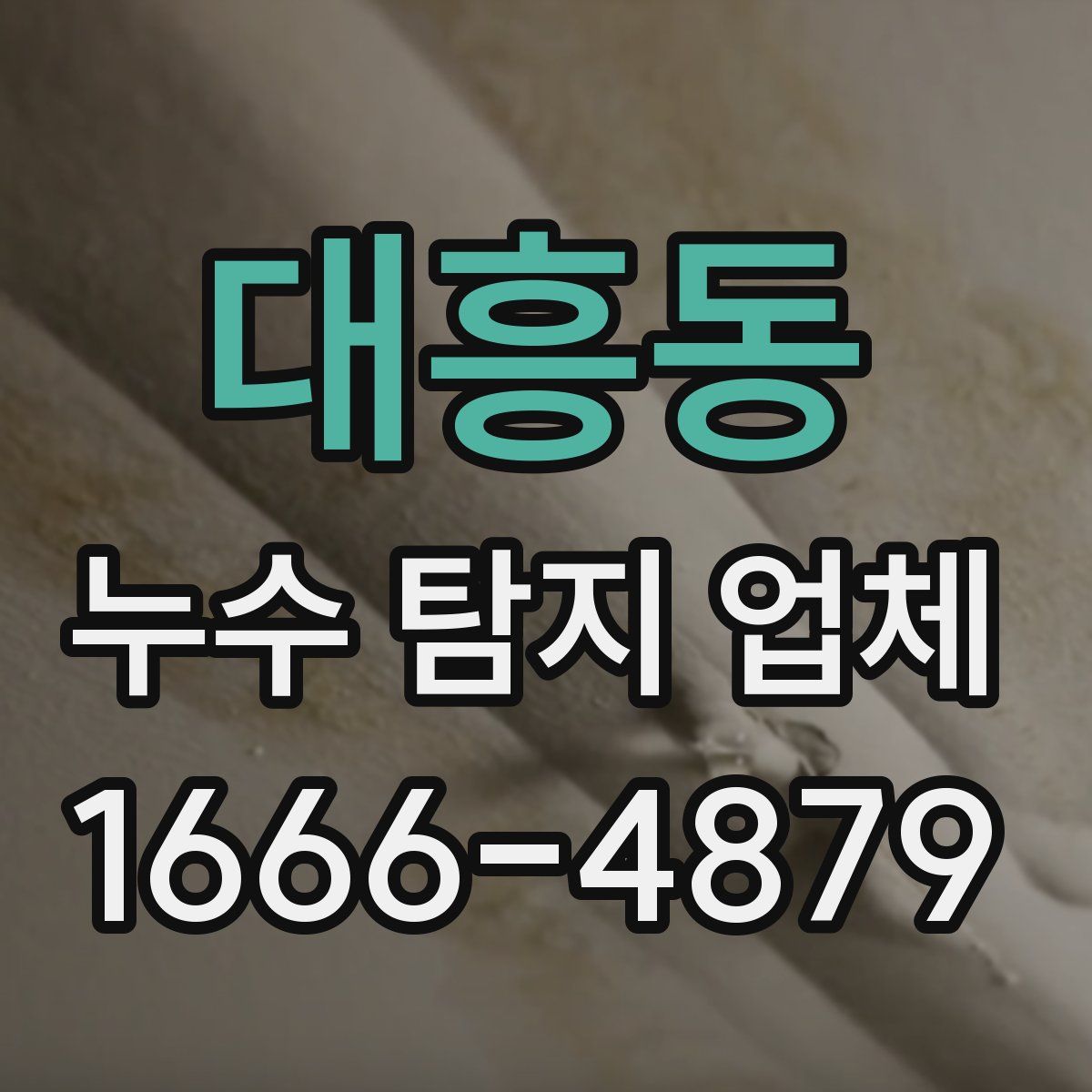 대흥동 누수 탐지 업체