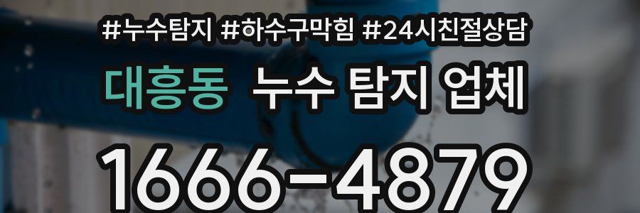 대흥동 누수 탐지 업체