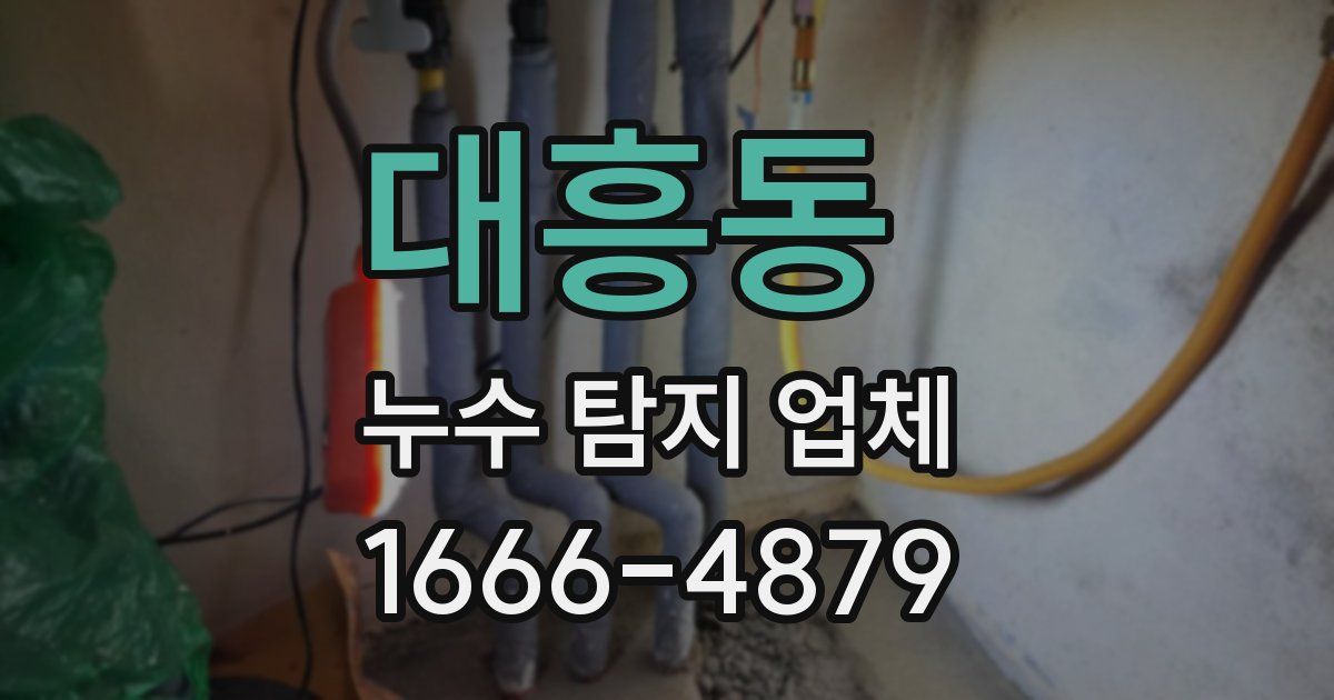 대흥동 누수 탐지 업체