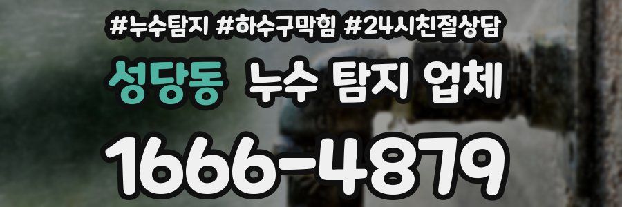 성당동 누수 탐지 업체