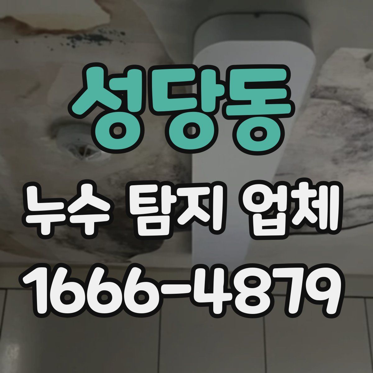 성당동 누수 탐지 업체