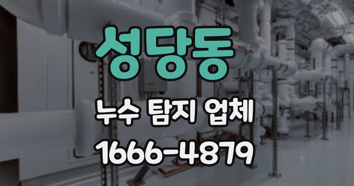 성당동 누수 탐지 업체