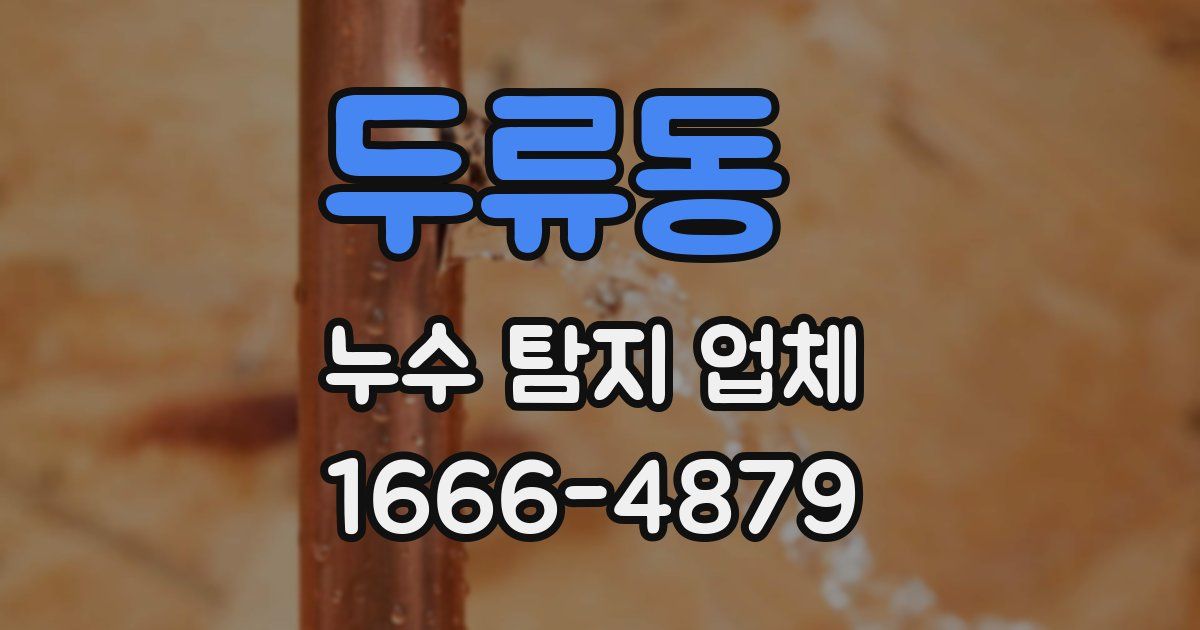 두류동 누수 탐지 업체