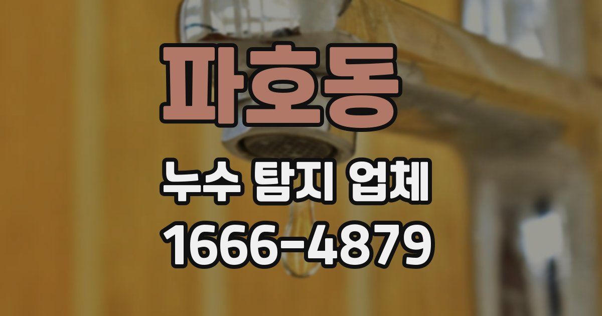 파호동 누수 탐지 업체