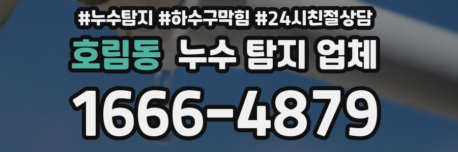 호림동 누수 탐지 업체