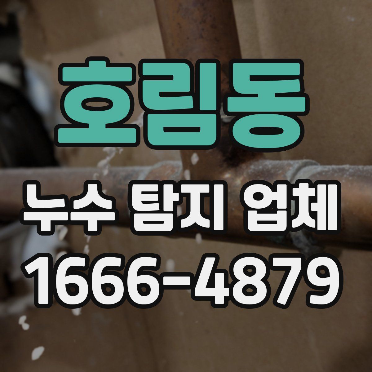 호림동 누수 탐지 업체