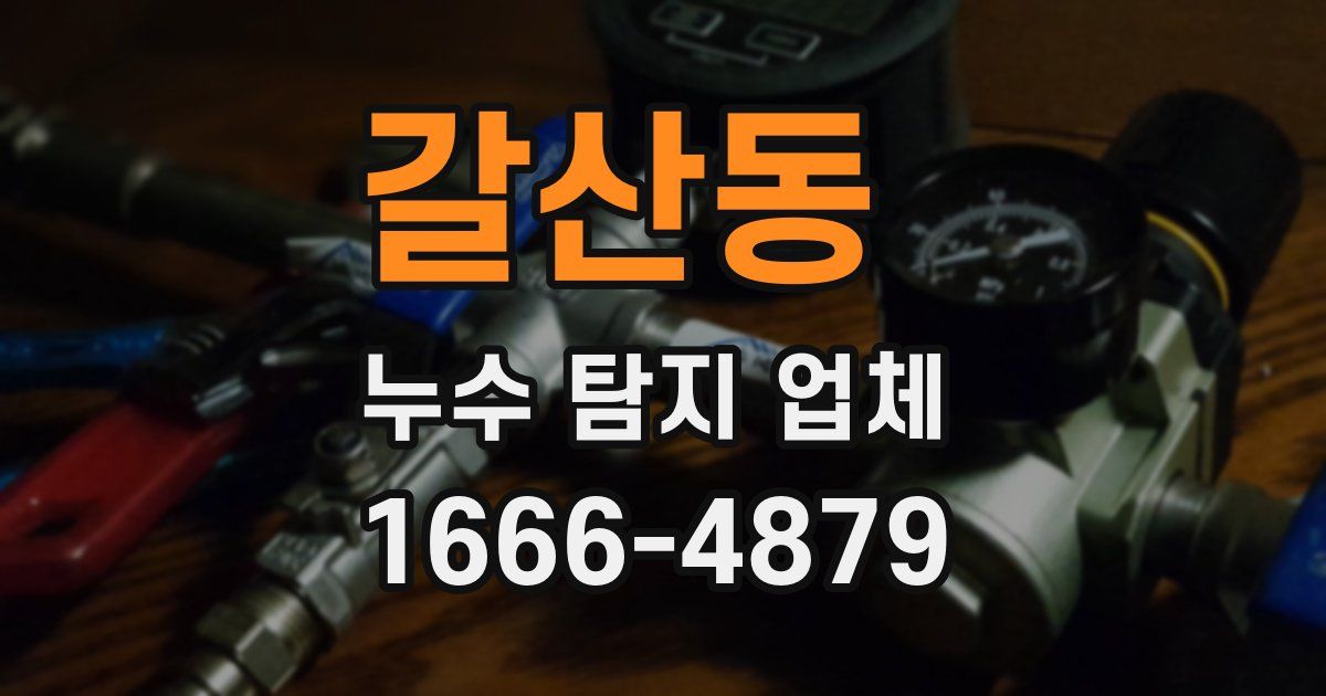 갈산동 누수 탐지 업체