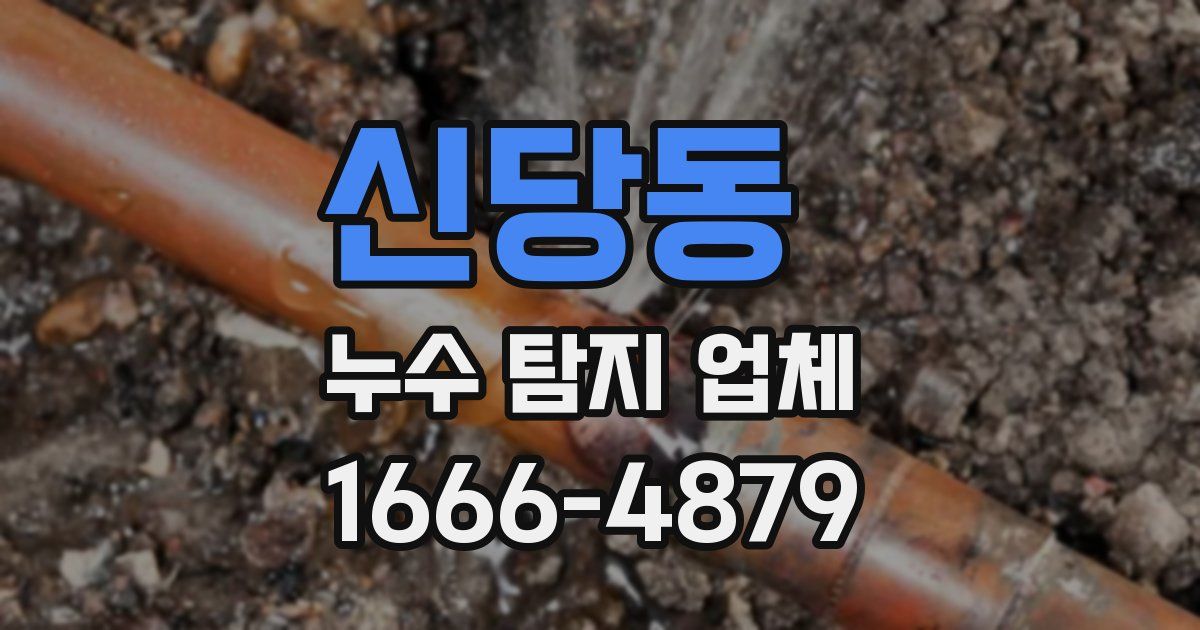 신당동 누수 탐지 업체