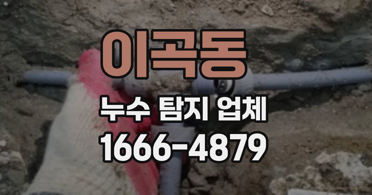이곡동 누수 탐지 업체