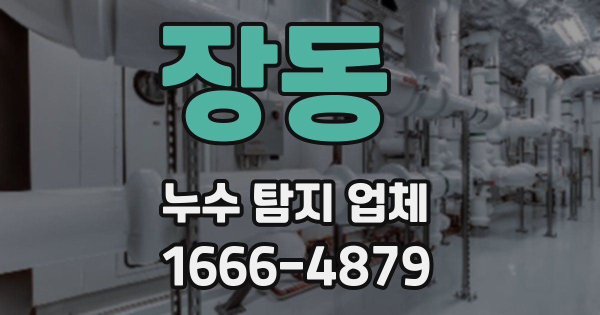 장동 누수 탐지 업체