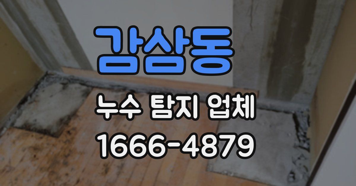 감삼동 누수 탐지 업체