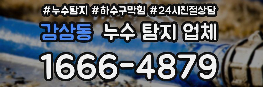 감삼동 누수 탐지 업체