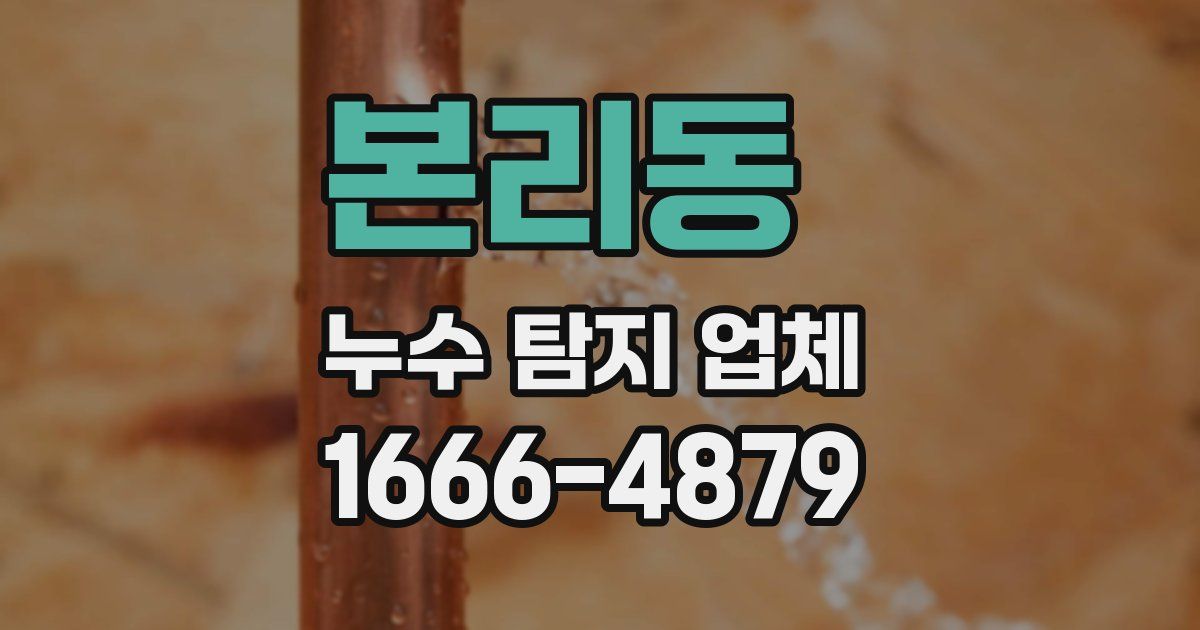 본리동 누수 탐지 업체