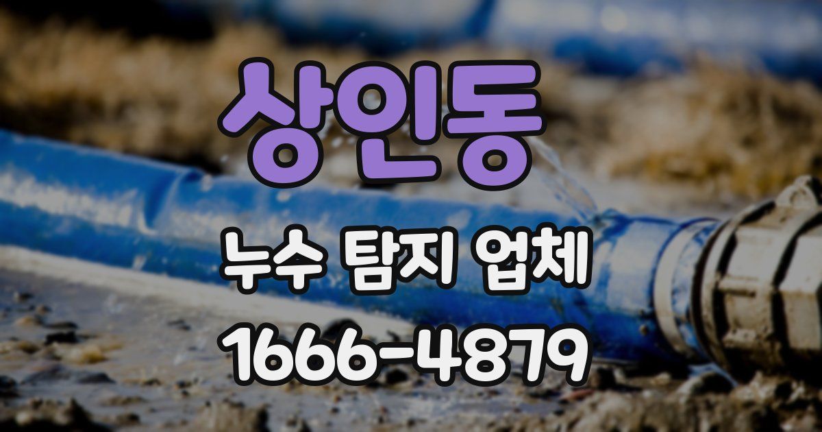 상인동 누수 탐지 업체