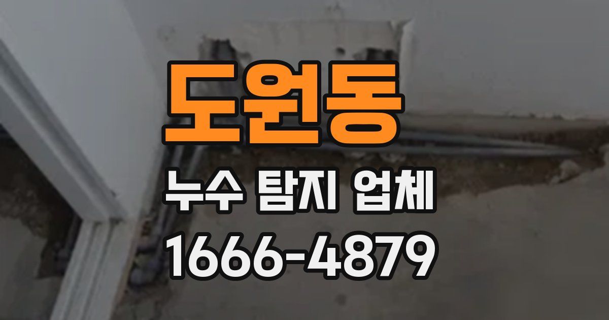 도원동 누수 탐지 업체