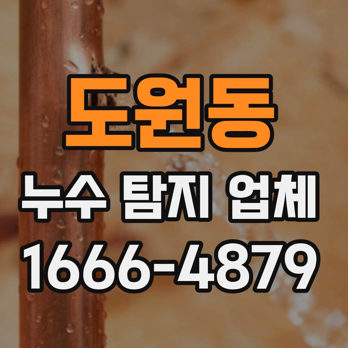 도원동 누수 탐지 업체