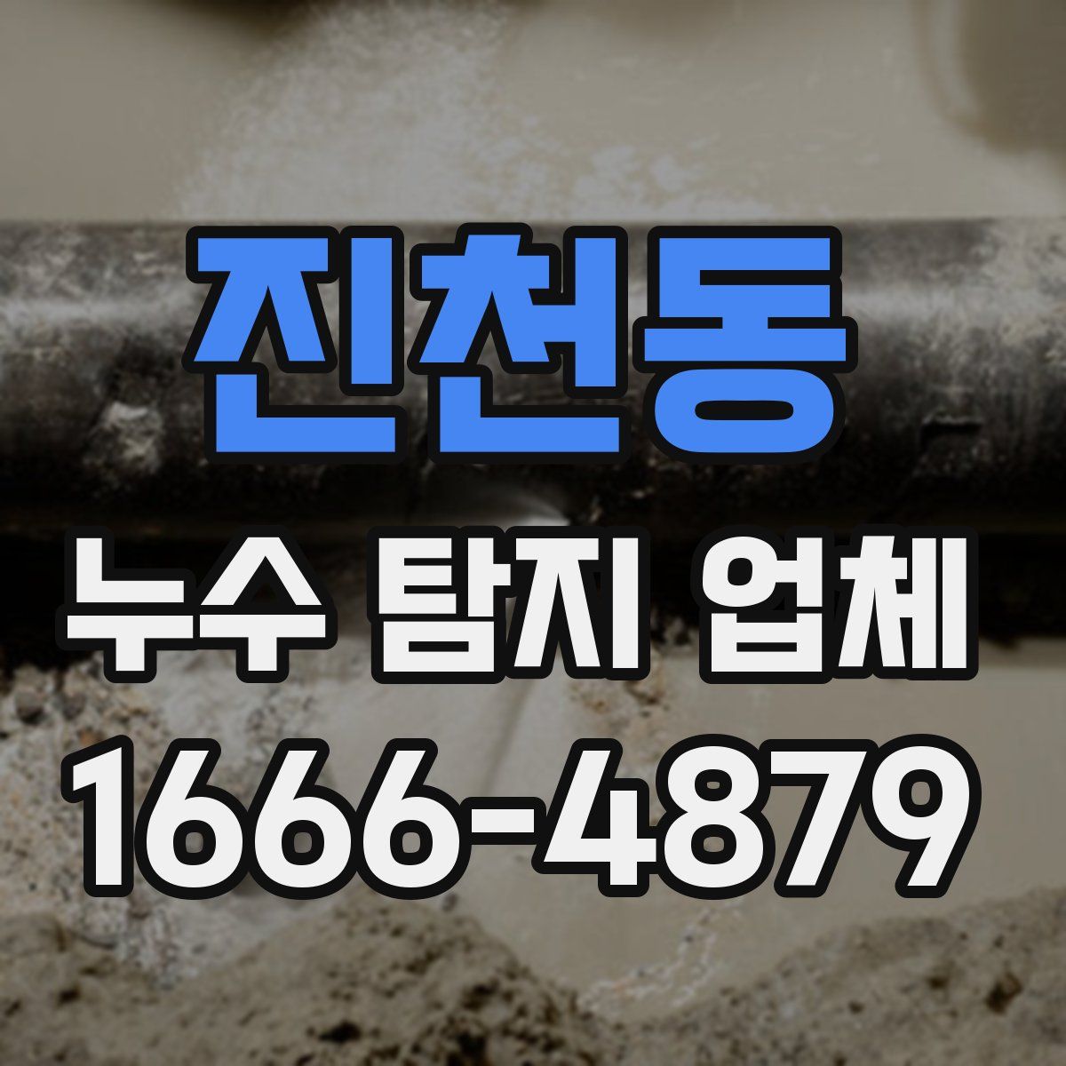 진천동 누수 탐지 업체