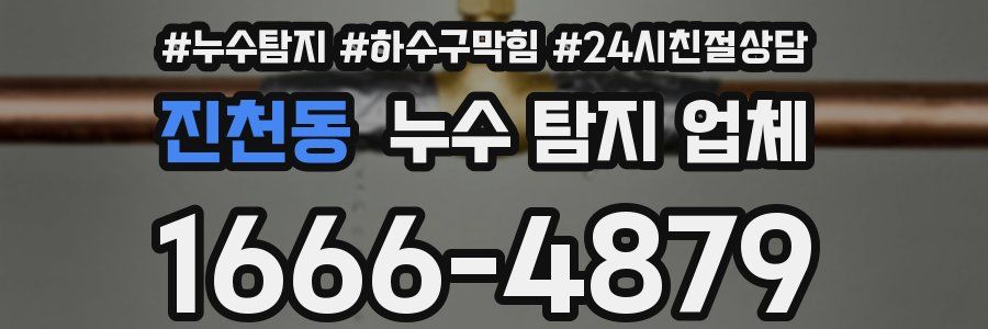 진천동 누수 탐지 업체
