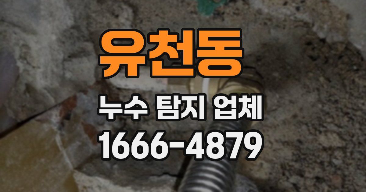 유천동 누수 탐지 업체