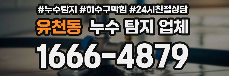 유천동 누수 탐지 업체