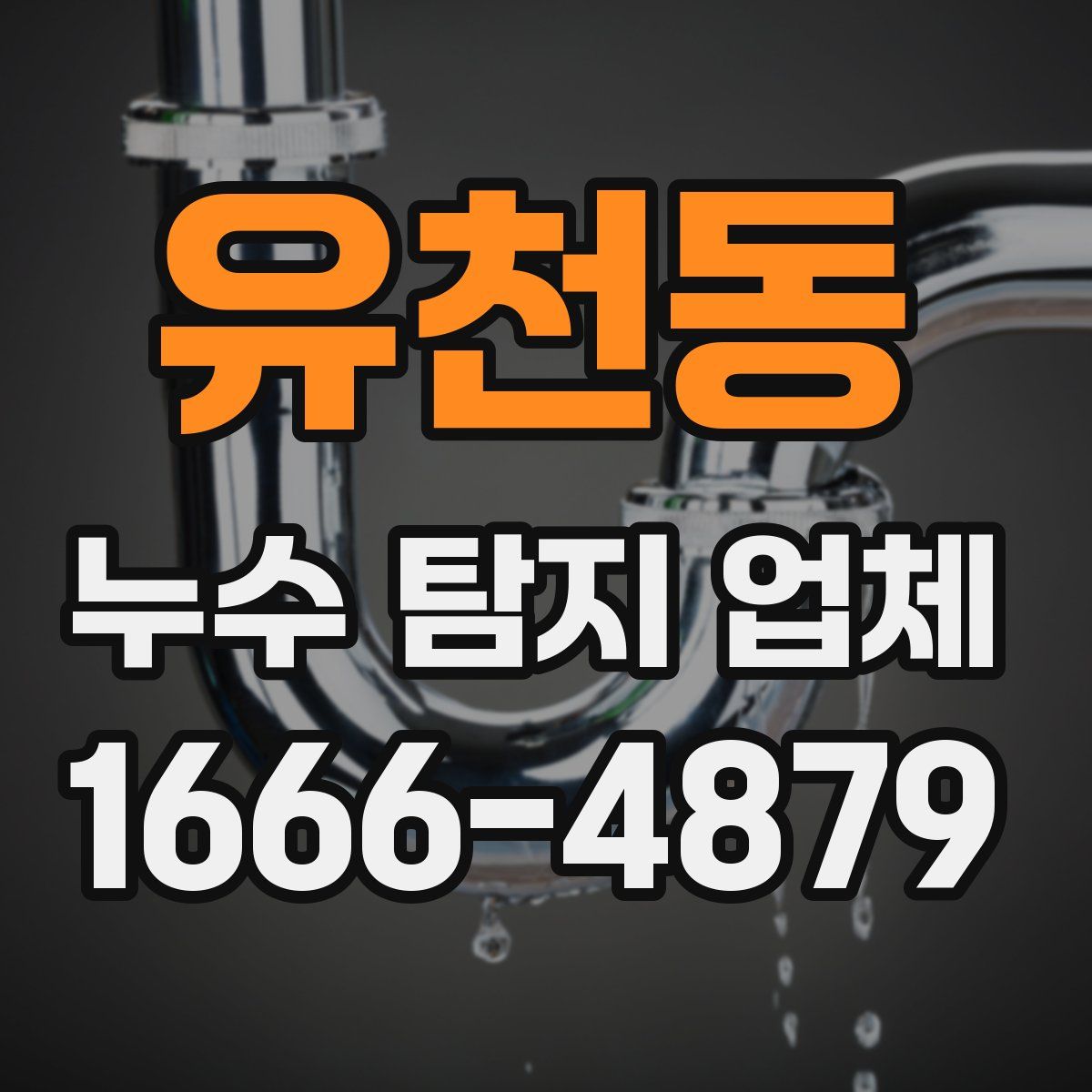 유천동 누수 탐지 업체