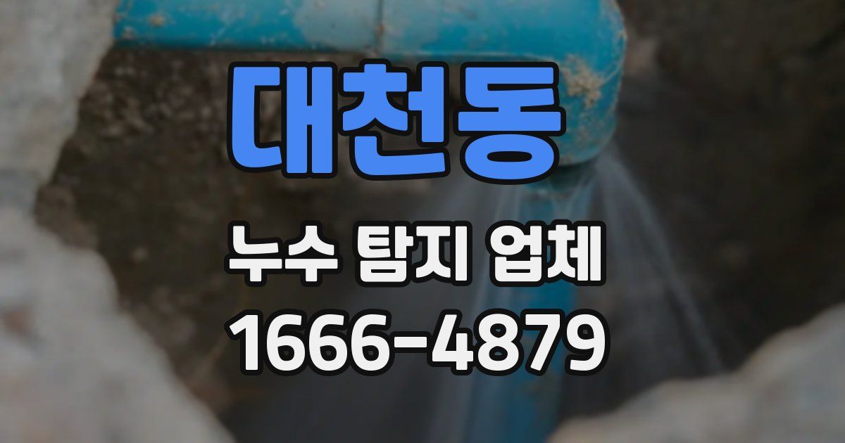 대천동 누수 탐지 업체