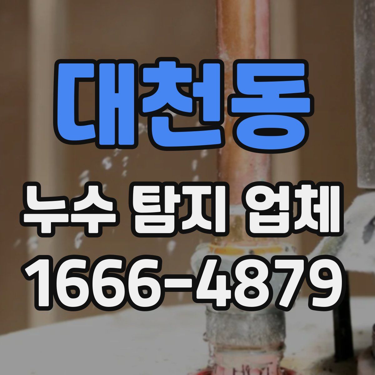 대천동 누수 탐지 업체