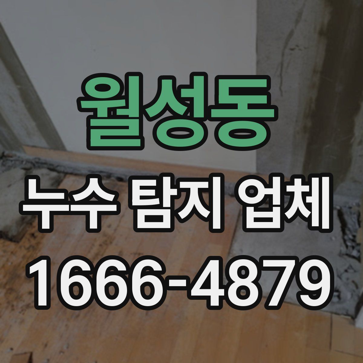 월성동 누수 탐지 업체