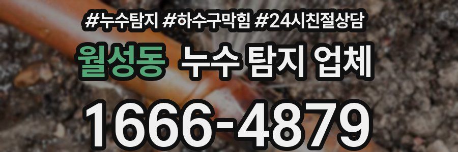 월성동 누수 탐지 업체