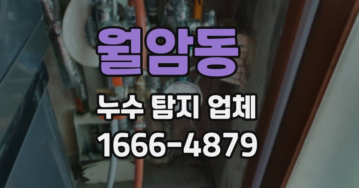 월암동 누수 탐지 업체