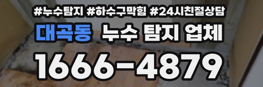 대곡동 누수 탐지 업체