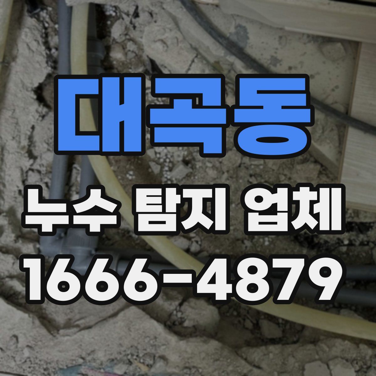 대곡동 누수 탐지 업체