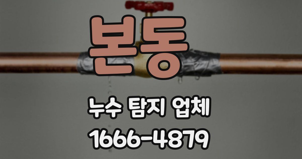 본동 누수 탐지 업체