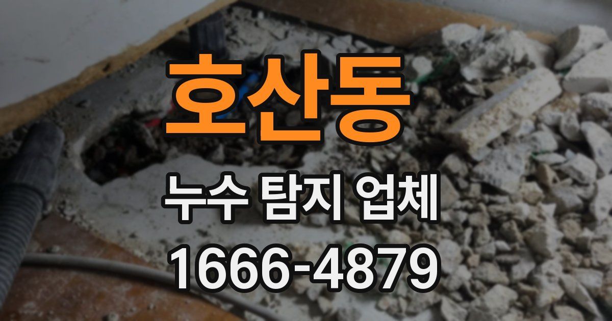 호산동 누수 탐지 업체