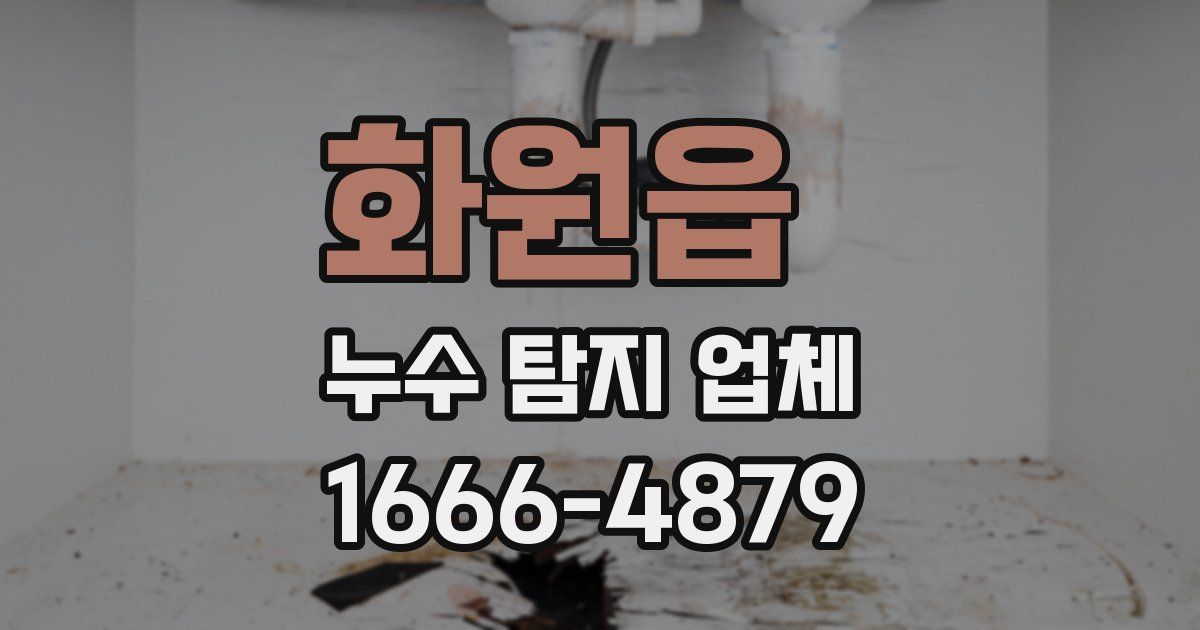 화원읍 누수 탐지 업체